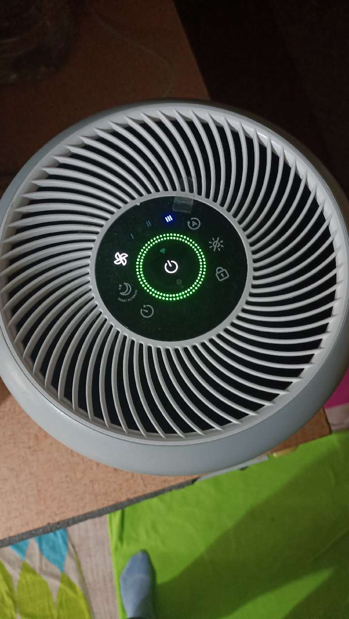 Levoit Hava Temizleme Aleti