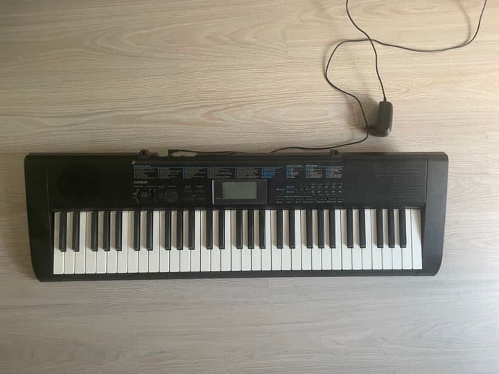 Casio Org