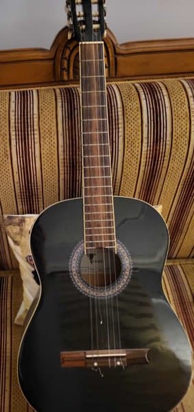 Gitar Eagle